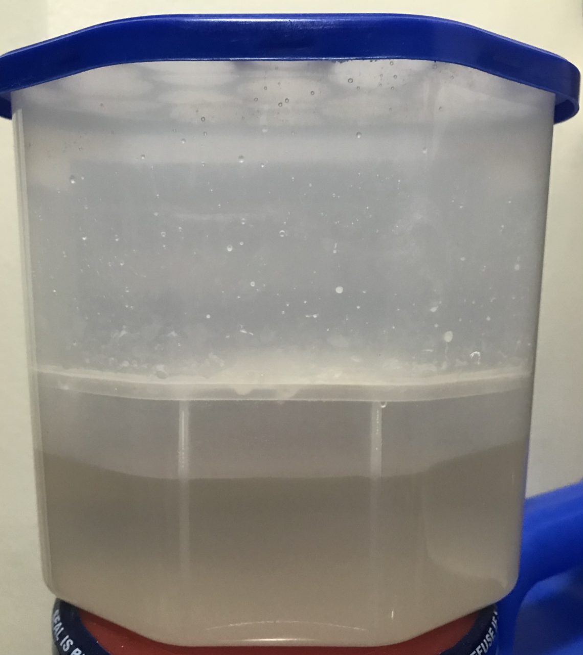 Review on Daiso Japan's Dehumidifier The Bloggeram